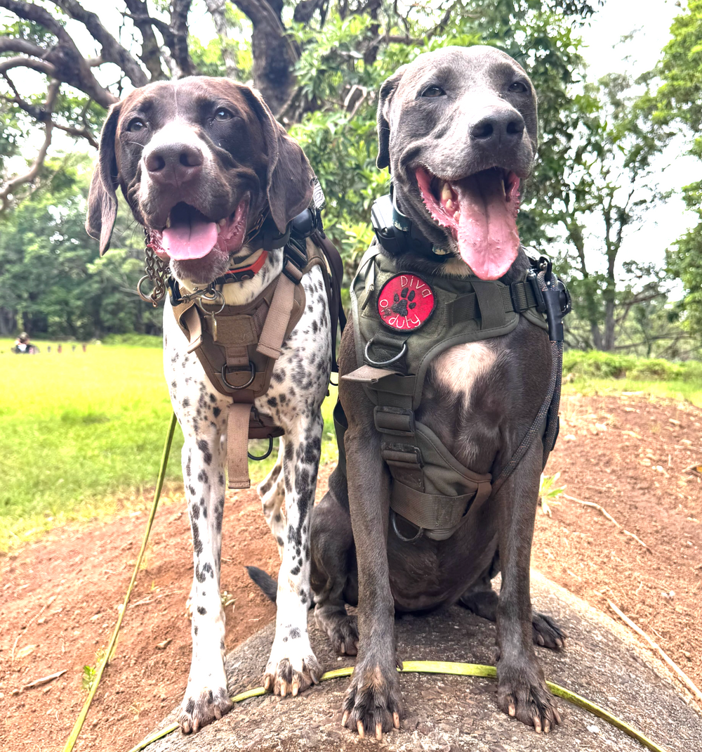 Ava & Autumn