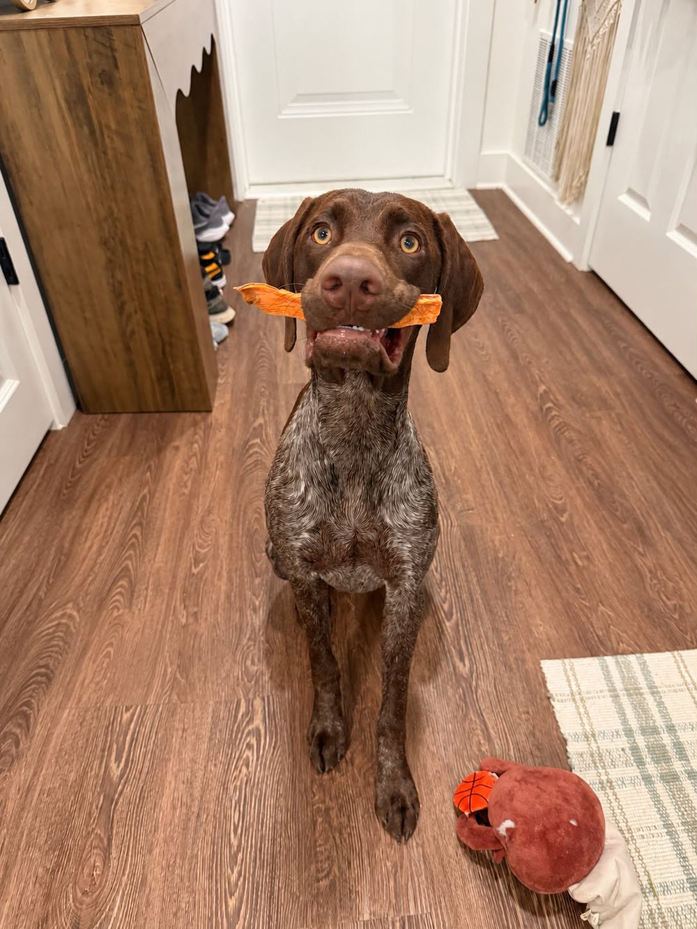 Ranger
